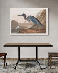 After Hover: John James Audubon - Wasservögel am See