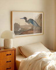 After Hover: John James Audubon - Wasservögel am See