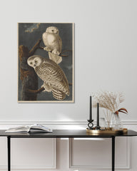 After Hover: John James Audubon - Weiße Eulen bei Nacht