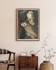 After Hover: John James Audubon - Weiße Eulen bei Nacht