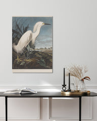 After Hover: John James Audubon - Weißer Vogel am Teich