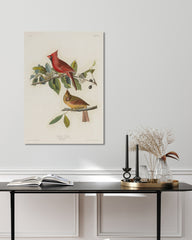 After Hover: John James Audubon - Bunte Vögel auf Ästen