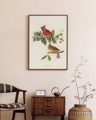 After Hover: John James Audubon - Bunte Vögel auf Ästen