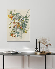 After Hover: John James Audubon - Kolibris auf Nektarsuche