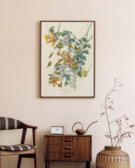 After Hover: John James Audubon - Kolibris auf Nektarsuche