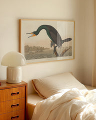 After Hover: John James Audubon - Smaragdgrüner Wasservogel