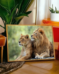 After Hover: Löwen-Paar