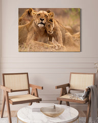 After Hover: Löwen-Familie