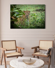 After Hover: Leopard im Regenwald