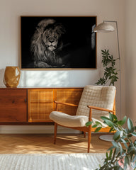 After Hover: Löwe in Schwarz-Weiß