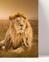 After Hover: Löwe in der Savanne