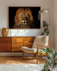 After Hover: Löwen-Portrait