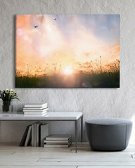 After Hover: Sonnenstrahlen auf einer Wiese