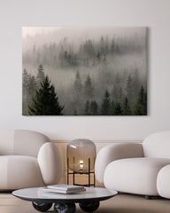 After Hover: Wald im Nebel