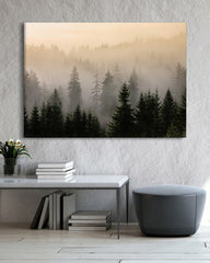 After Hover: Bäume im Nebel