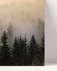 After Hover: Bäume im Nebel