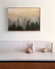 After Hover: Bäume im Nebel