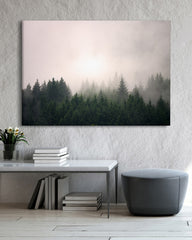 After Hover: Bäume im Nebel