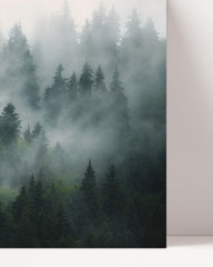 After Hover: Bäume im Nebel