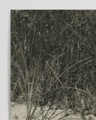 After Hover: László Moholy Nagy - Schwarz-Weiß Fotografie - Frau am Strand