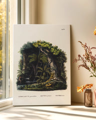 After Hover: Dschungel Illustration