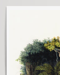 After Hover: Dschungel Illustration