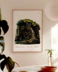 After Hover: Dschungel Illustration