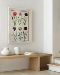 After Hover: Eine Übersicht blühender Blumen