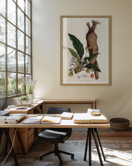 After Hover: Atropa Mandragora - Gemeine Alraune