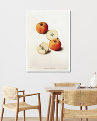 After Hover: Pearmain Royal - Parmäne Apfel