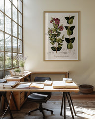 After Hover: Diplusodon Floribundus - weinrote Blüten