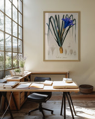 After Hover: Vellosia Glauca - Lila Blüten