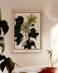 After Hover: Liriodendron Tulipifera - Tulpenbaum