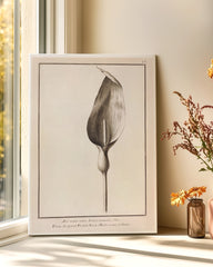 After Hover: Blütenzeichnung