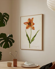 After Hover: Blume mit orangener Blüte - Lexikon Zeichnung