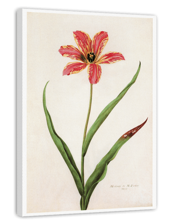 Blume mit orangenem Blüten-Muster - Botanischer Kunstdruck