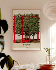 After Hover: Opuntia ficus-indica - Kakteengewächs