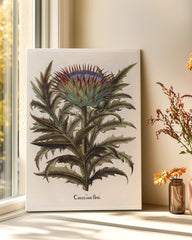 After Hover: Cinera Cum Flore - Distelblüte