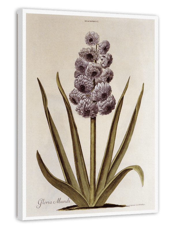 Pflanze mit lilafarbenen Blüten