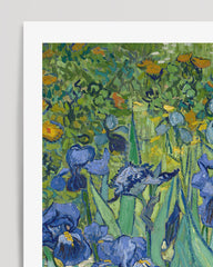 After Hover: Vincent van Gogh - Museum-Poster Schwertlinien