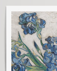 After Hover: Vincent van Gogh - Museum-Poster Iris