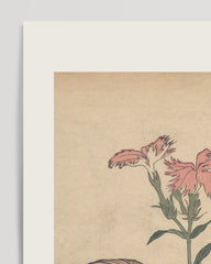 After Hover: Katsushika Hokusai - Museum-Poster Hahn, Henne und Nadeshiko