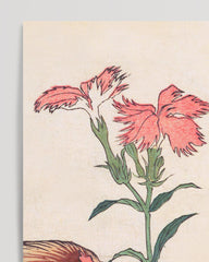 After Hover: Katsushika Hokusai - Museum-Poster II Hahn, Henne und Nadeshiko