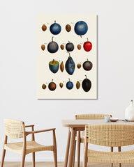 After Hover: Pflaumenarten - Zwetschgen