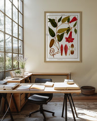 After Hover: Lapageria Rosea - Chilenische Glockenblume