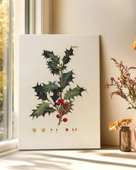 After Hover: Stechpalme Weihnachten