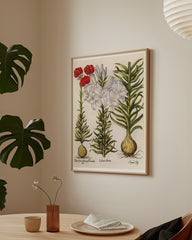 After Hover: Weiße und rote Lilien