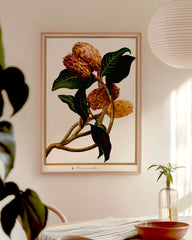 After Hover: Magnolia Grandiflora - Immergrüne Magnolie