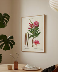 After Hover: Nerium Oleander - Rosenlorbeer