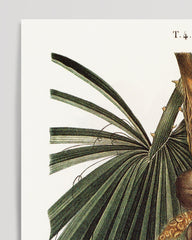 After Hover: Dattelzweig